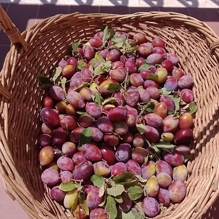 Casa Vacanze Il Pero Marsiliana Bagian luar foto