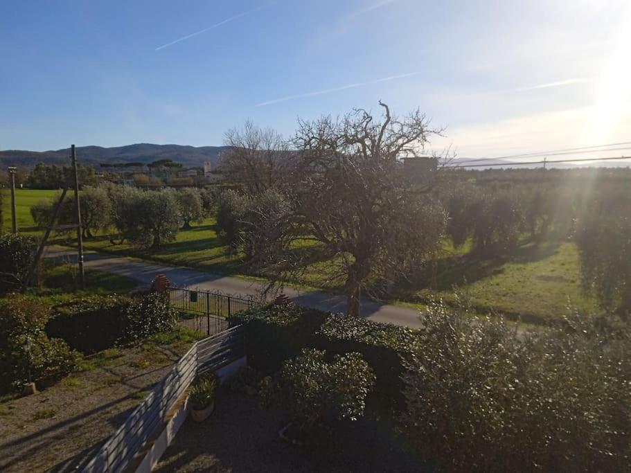 Casa Vacanze Il Pero Marsiliana Bagian luar foto
