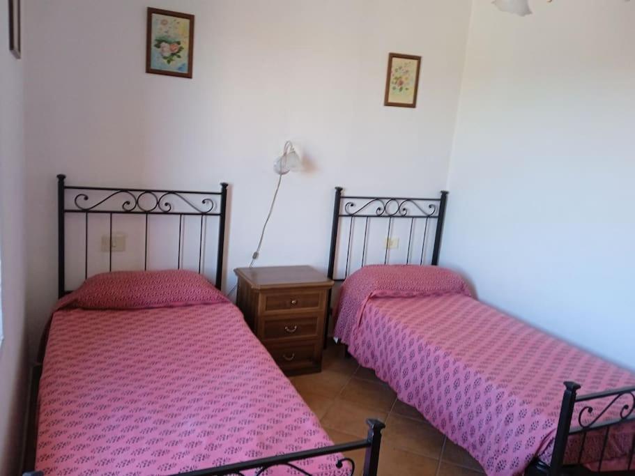 Casa Vacanze Il Pero Marsiliana Bagian luar foto
